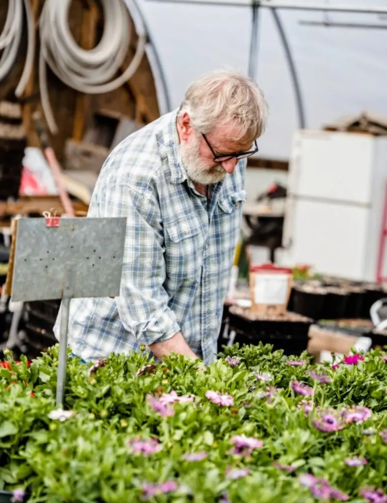 safe-gardening-yard-work-aging-parents