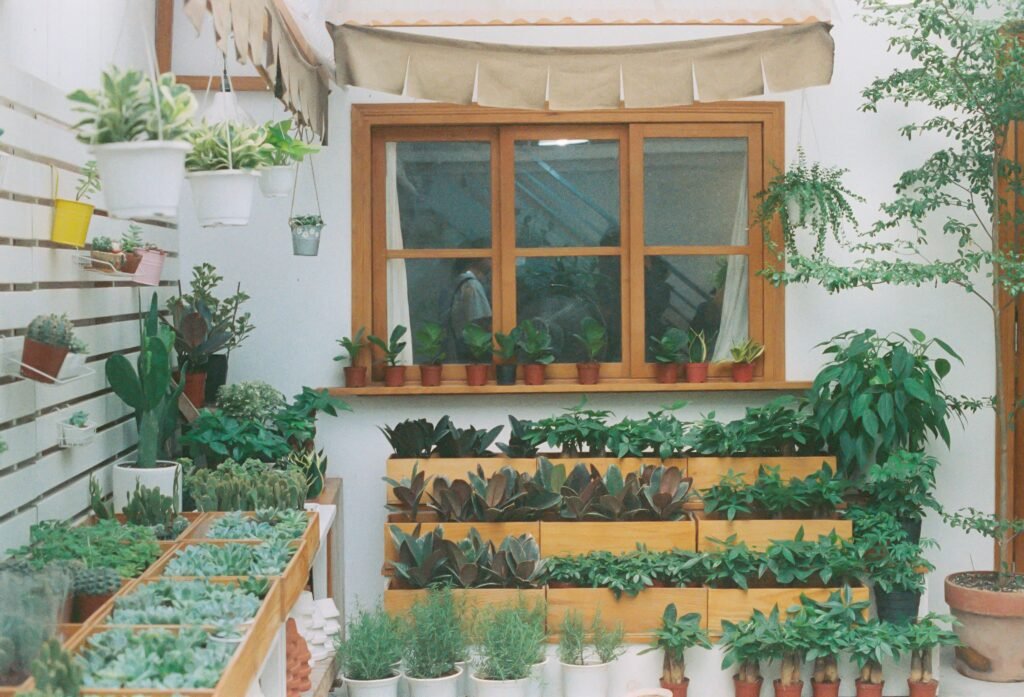A Simple Herb Pot Setup for Beginners